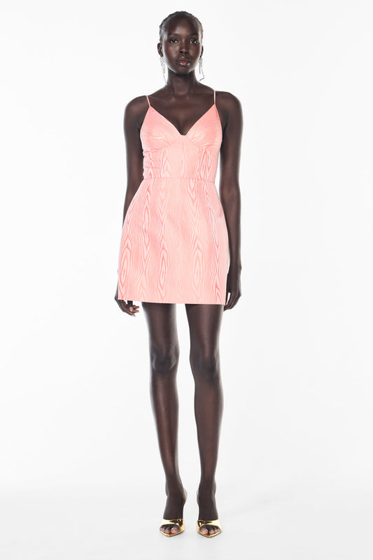 Melting Moments Mini Dress (Melon)