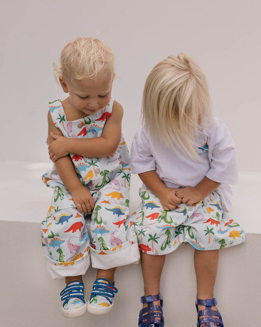 Walnut Melbourne Ben Canvas (Rainbow Dino)