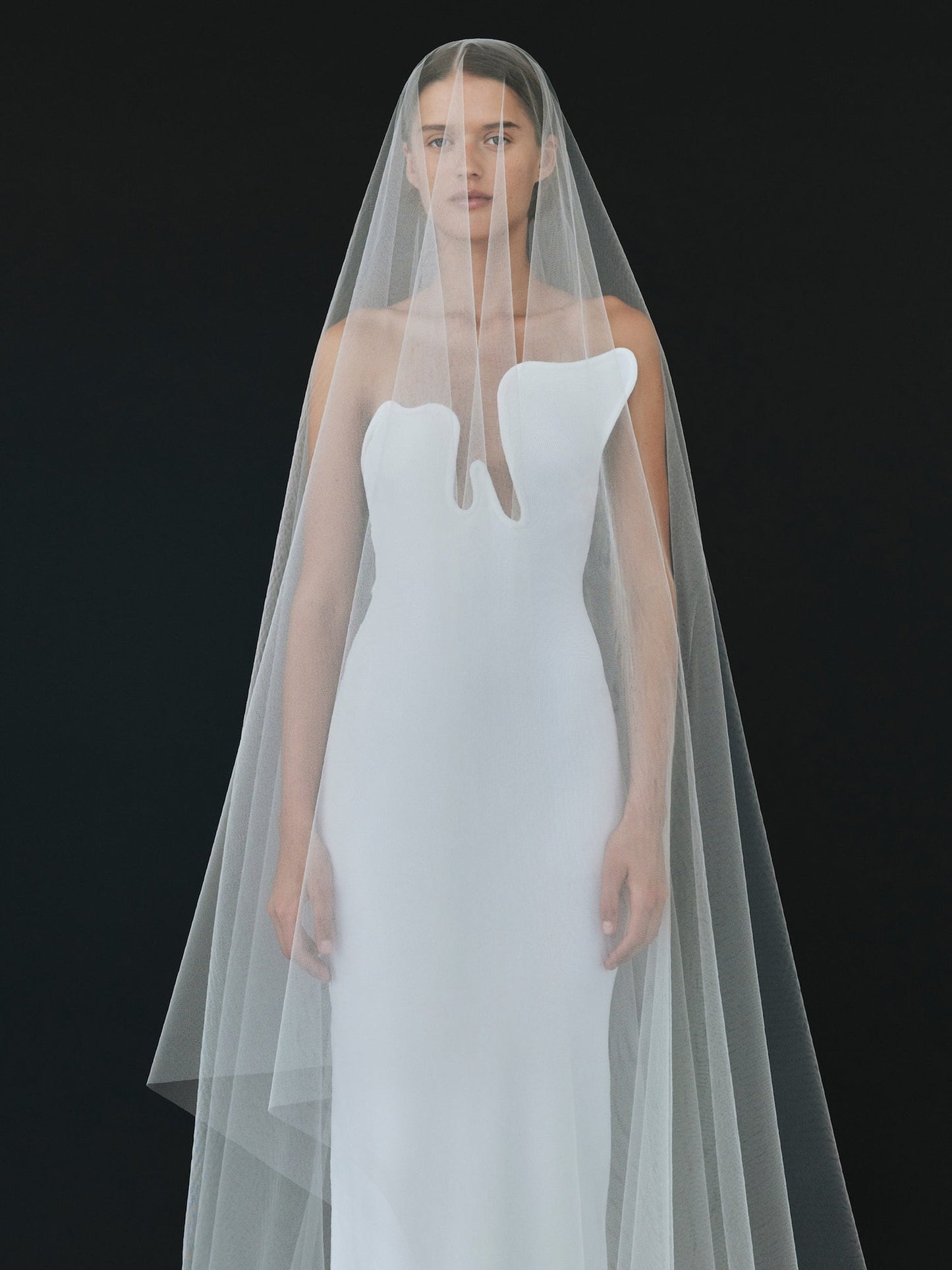 Christopher Esber Salacia Wire Strapless Dress (White)