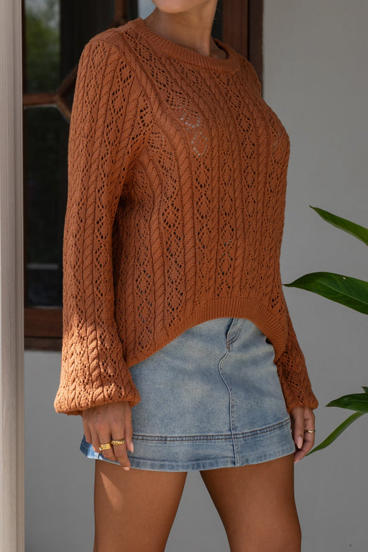 Heychic Haisley Pointelle Knit Sweater (Brown)