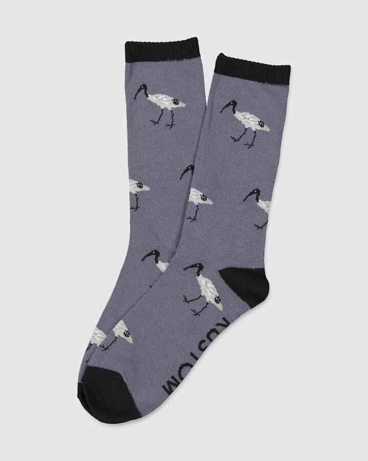 Image of Socks. Product name - Kustom Mens Ibis Crew Socks Multi in Multi colour by brand - Kustom