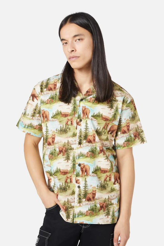 Image of a model wearing Tops. Productname: Beary Cute SS Shirt in Multi colour by brand - Dangerfield