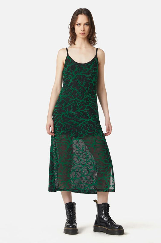 Image of a model wearing Dress. Productname: Neglected Flocked Mesh Midi Dress in Black/Green colour by brand - Dangerfield