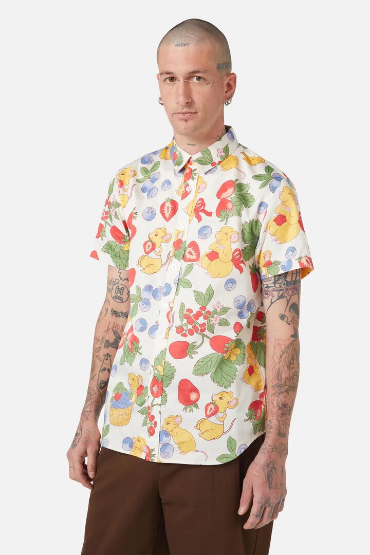 Image of a model wearing Tops. Productname: Hamper Printed SS Shirt in Multi colour by brand - Dangerfield