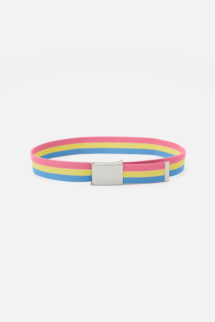Image of Accessories. Productname: Pride Belt Pansexual in Multi colour by brand - Dangerfield