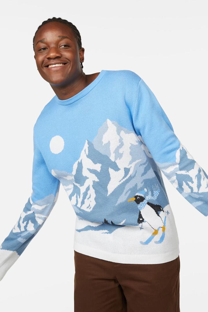 Image of a model wearing Outerwear. Productname: Winter Wonderland Jumper in Multi colour by brand - Dangerfield
