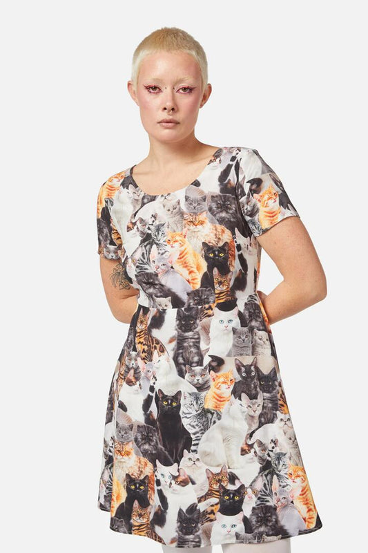 Image of a model wearing Dress. Productname: Catnip Skater Dress in Multi colour by brand - Dangerfield