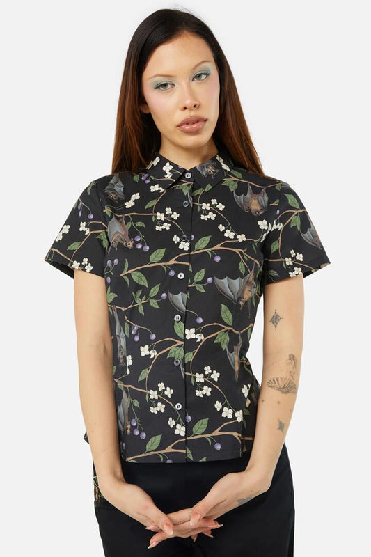 Image of Blouses. Productname: Old World Blouse in Black colour by brand - Dangerfield