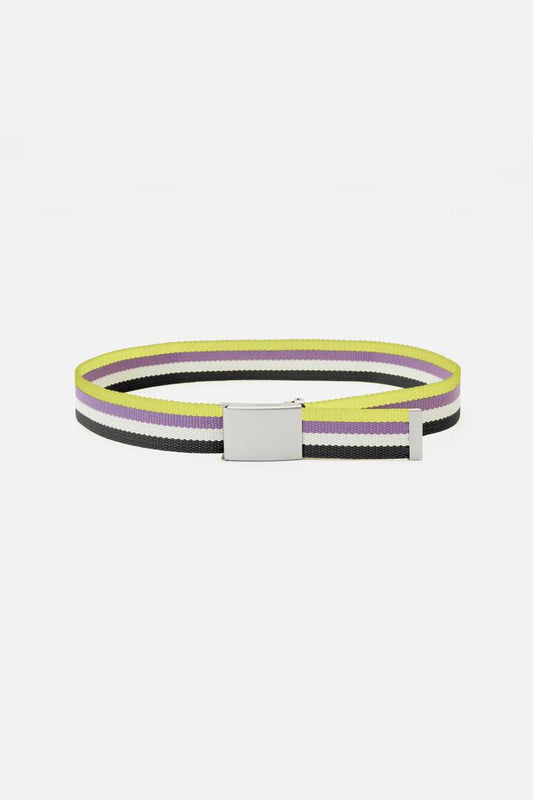 Image of Accessories. Productname: Pride Belt Non Binary in Multi colour by brand - Dangerfield