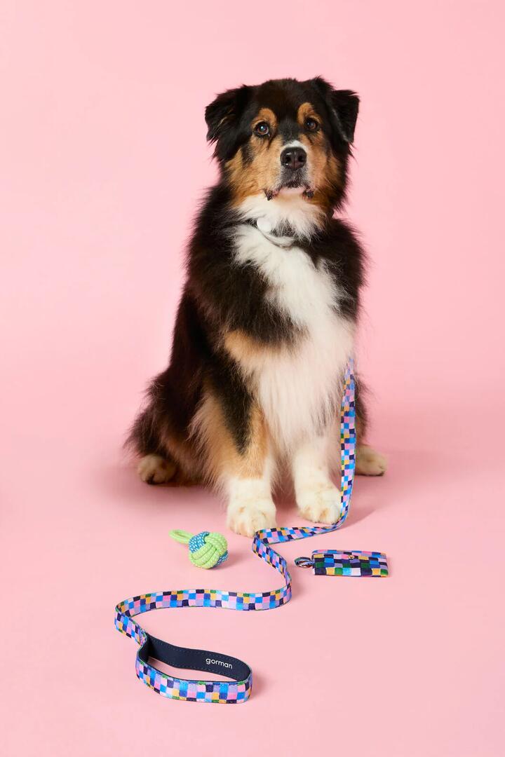 Image of Others. Productname: Checkers Pet Gift Set in Print colour by brand - Gorman