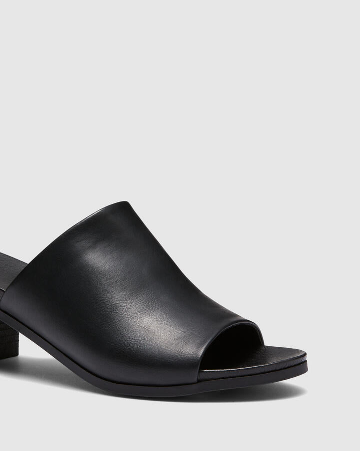 Image of Heels. Product name - Fussy Black Vegan Heels in Black colour by brand - Novo