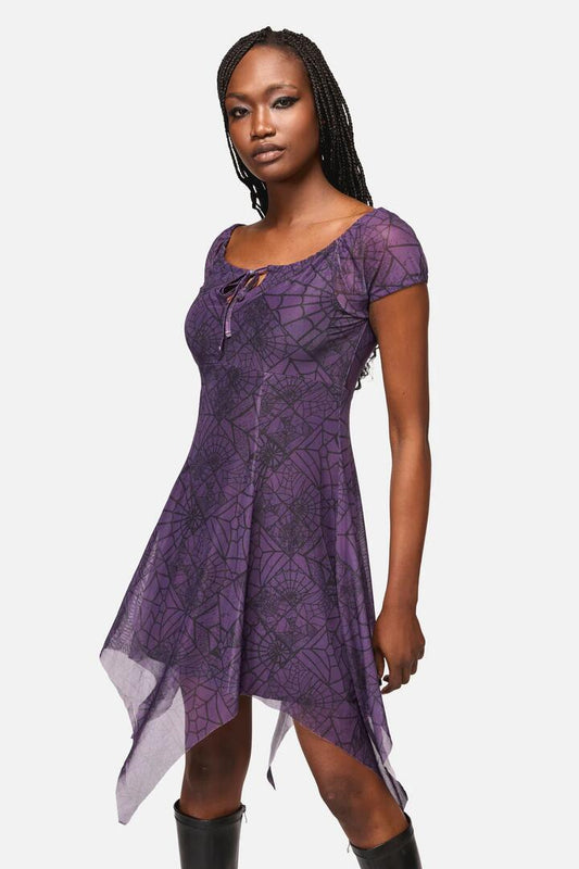 Image of a model wearing Dress. Productname: Window Web Gothic Dress in Purple colour by brand - Black Friday