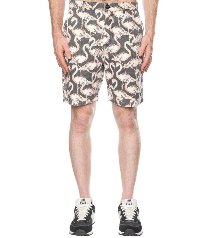 Image of a model wearing Shorts. Product name - Flamingo Short in Blue colour by brand - Dangerfield