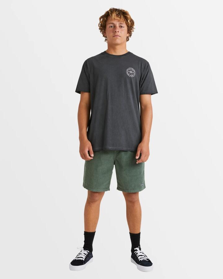 Image of T-Shirts. Product name - Billabong Mens Big Wave Daz T-Shirt Black in Black colour by brand - Billabong