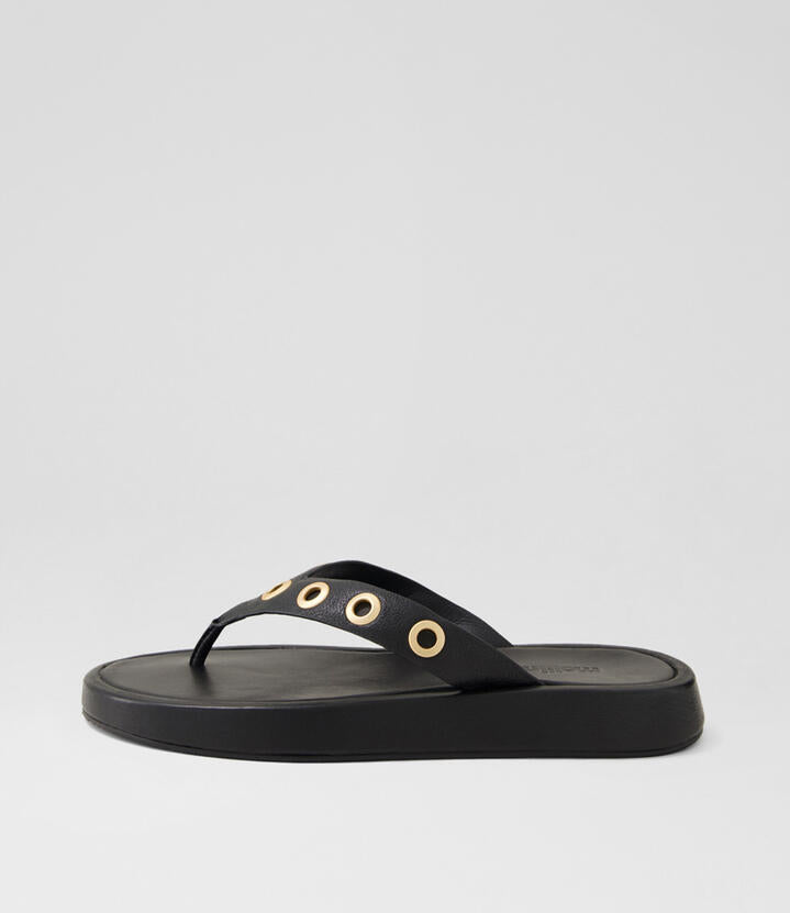 Image of Sandals. Productname: Asanova Black Leather Thongs in Black colour by brand - MOLLINI
