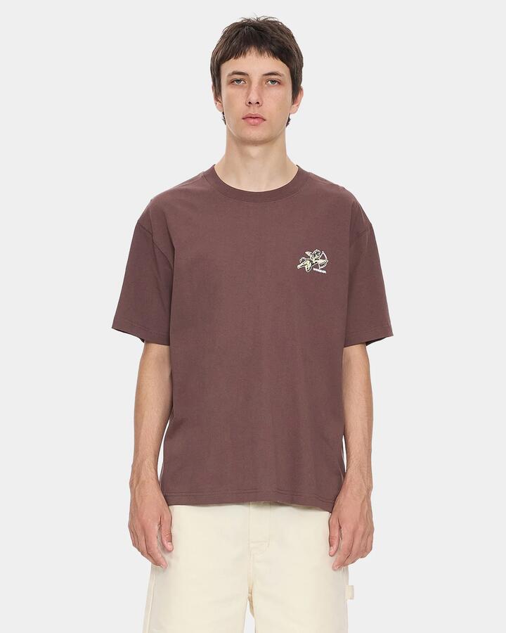 Image of a model wearing Tops. Productname: worship Mens Cherub T-Shirt Dark Choc - in Dark Choc colour by brand - Worship