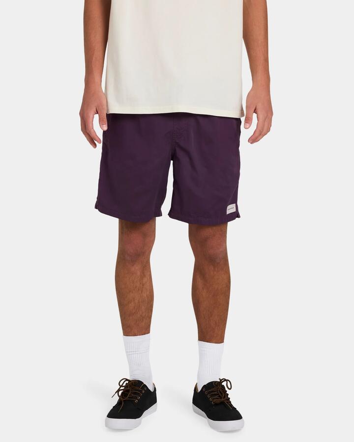 Image of Swimwear. Productname: Von Zipper Mens Salty Dogs Boardshorts Deep Plum - in Deep Plum colour by brand - Von Zipper