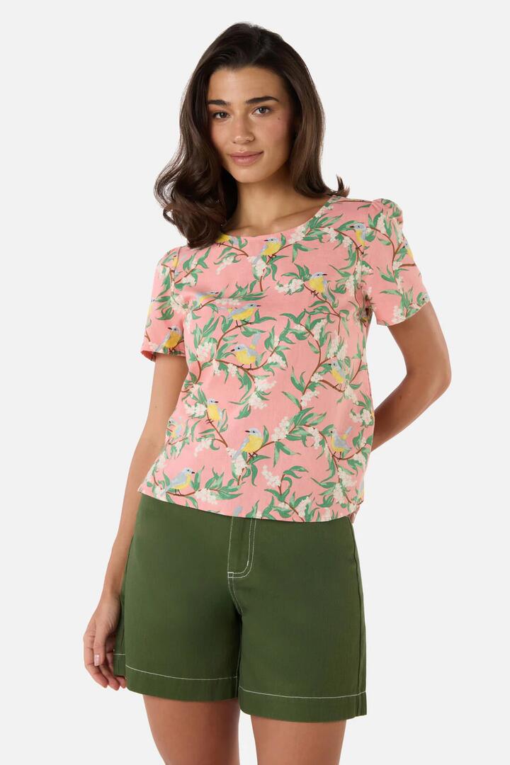 Image of a model wearing Tops. Product name - Yellow Robin Short Sleeve Top in Coral colour by brand - Princess Highway