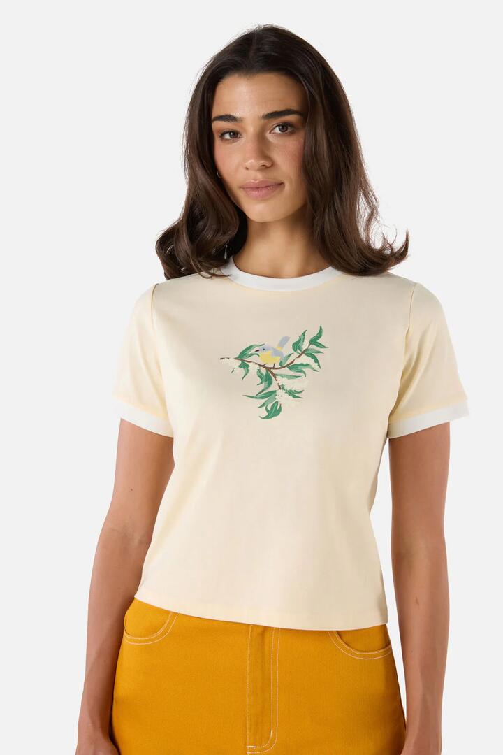 Image of T-Shirts. Product name - Yellow Robin Ringer Tee in Lemon colour by brand - Princess Highway