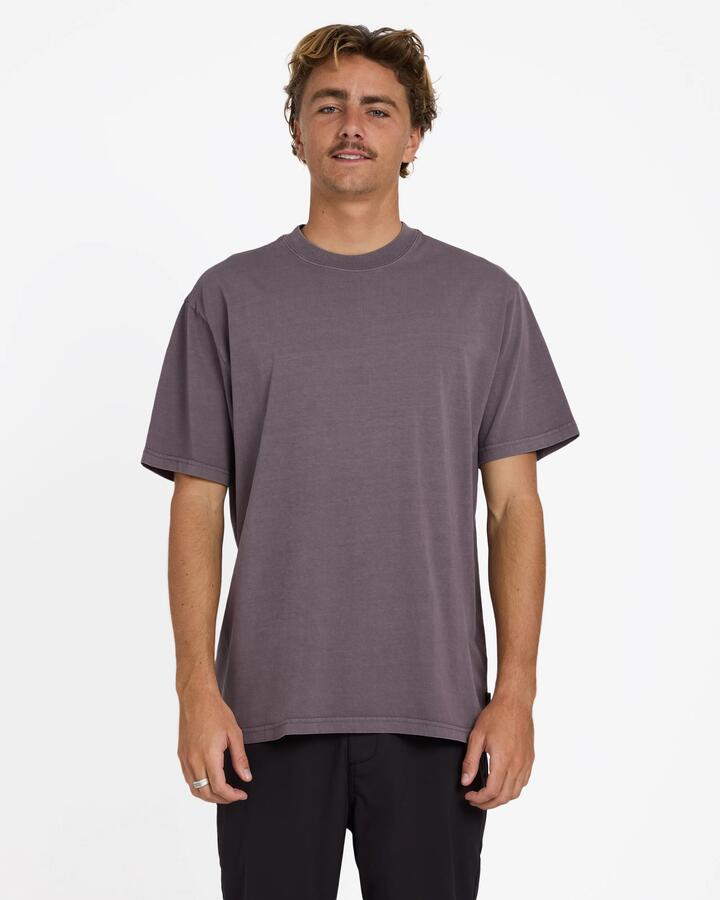 Image of T-Shirts. Product name - Billabong Mens Premium Wave Wash T-Shirt Steel Purple in Steel Purple colour by brand - Billabong