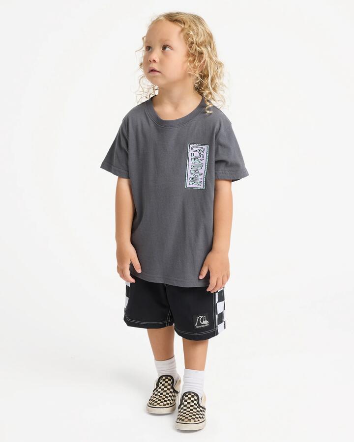 Image of T-Shirts. Product name - Quiksilver Boys 2-7 Radical Times T-Shirt Iron Gate in Iron Gate colour by brand - Quiksilver