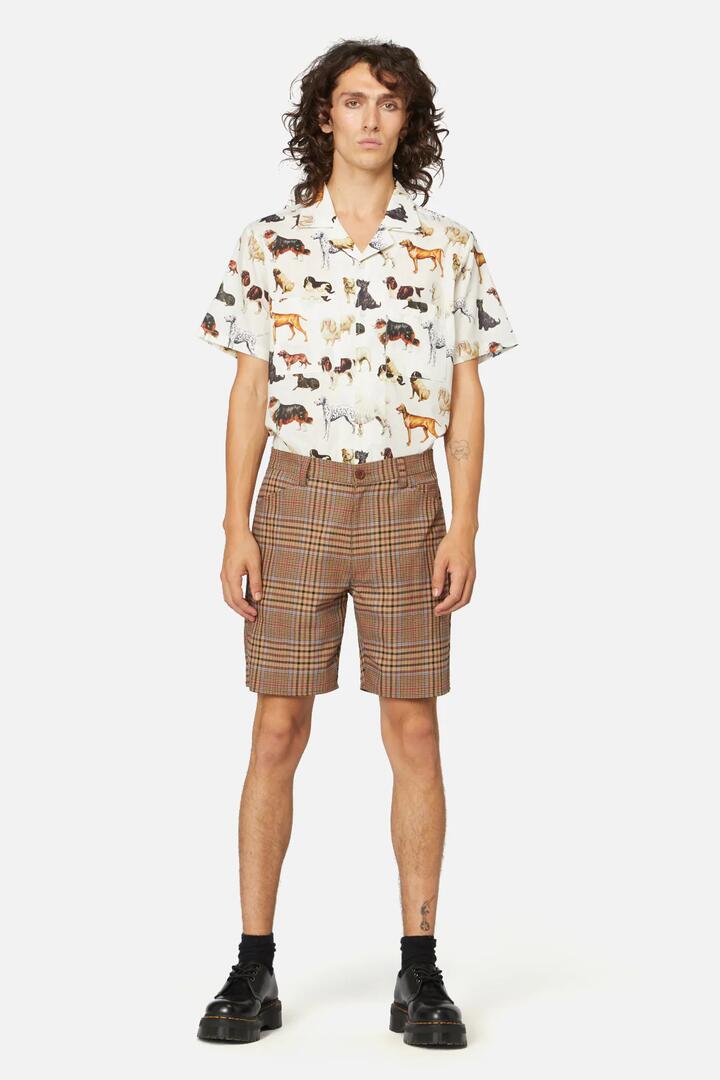 Image of a model wearing Shorts. Productname: Shiloh Check Twill Short in Brown colour by brand - Dangerfield