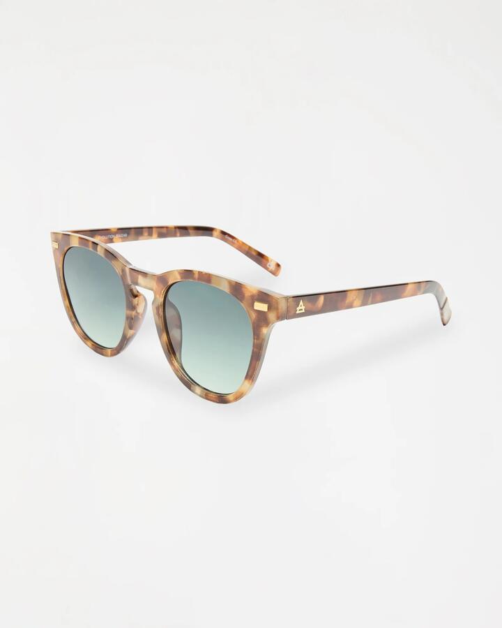 Image of Sunglasses. Productname: aire Evolution Sunglasses Dark Tort - in Dark Tort colour by brand - Aire