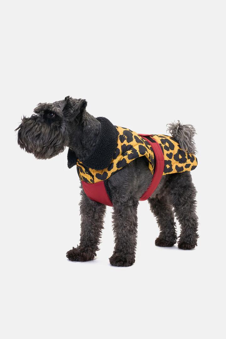 Image of Pet Supplies. Productname: Leopard Dog Puffer Coat in Print colour by brand - Gorman
