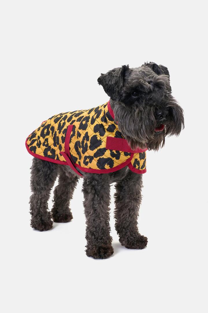 Image of Pet Supplies. Productname: Leopard Quilted Dog Coat in Print colour by brand - Gorman