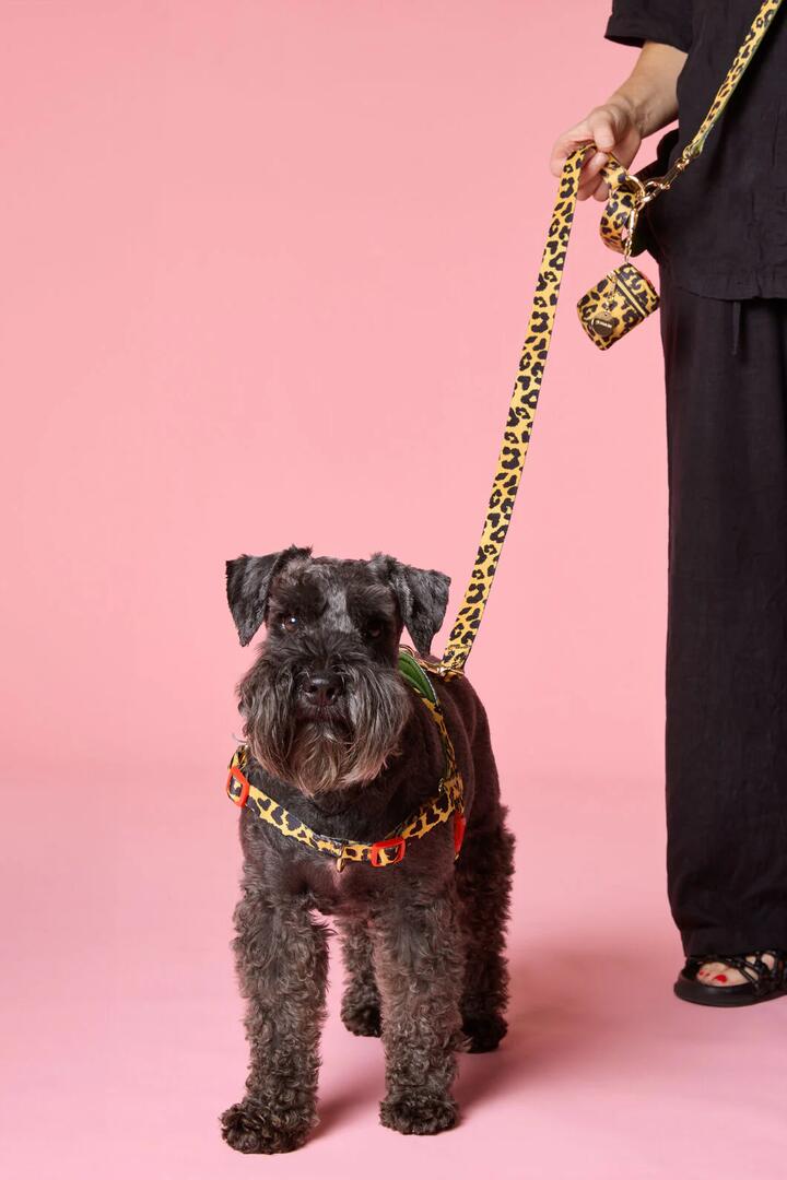 Image of Pet Supplies. Productname: Leopard Hands-Free Dog Leash in Print colour by brand - Gorman