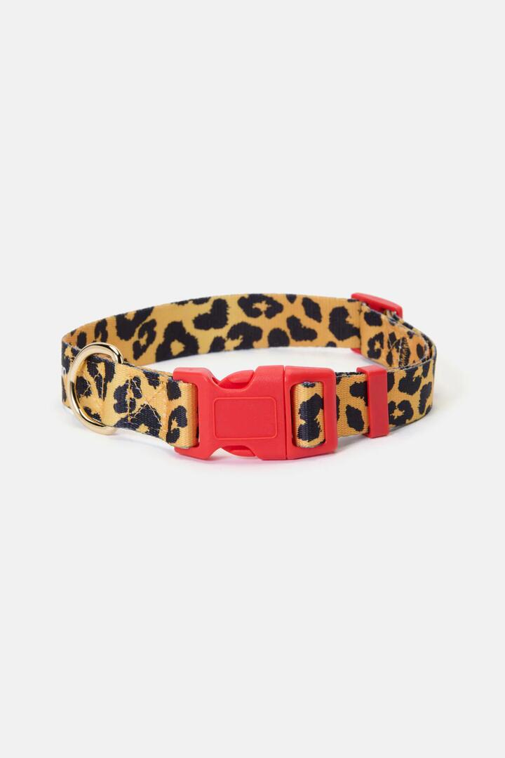 Image of Pet Supplies. Productname: Leopard Dog Collar Lge in Print colour by brand - Gorman