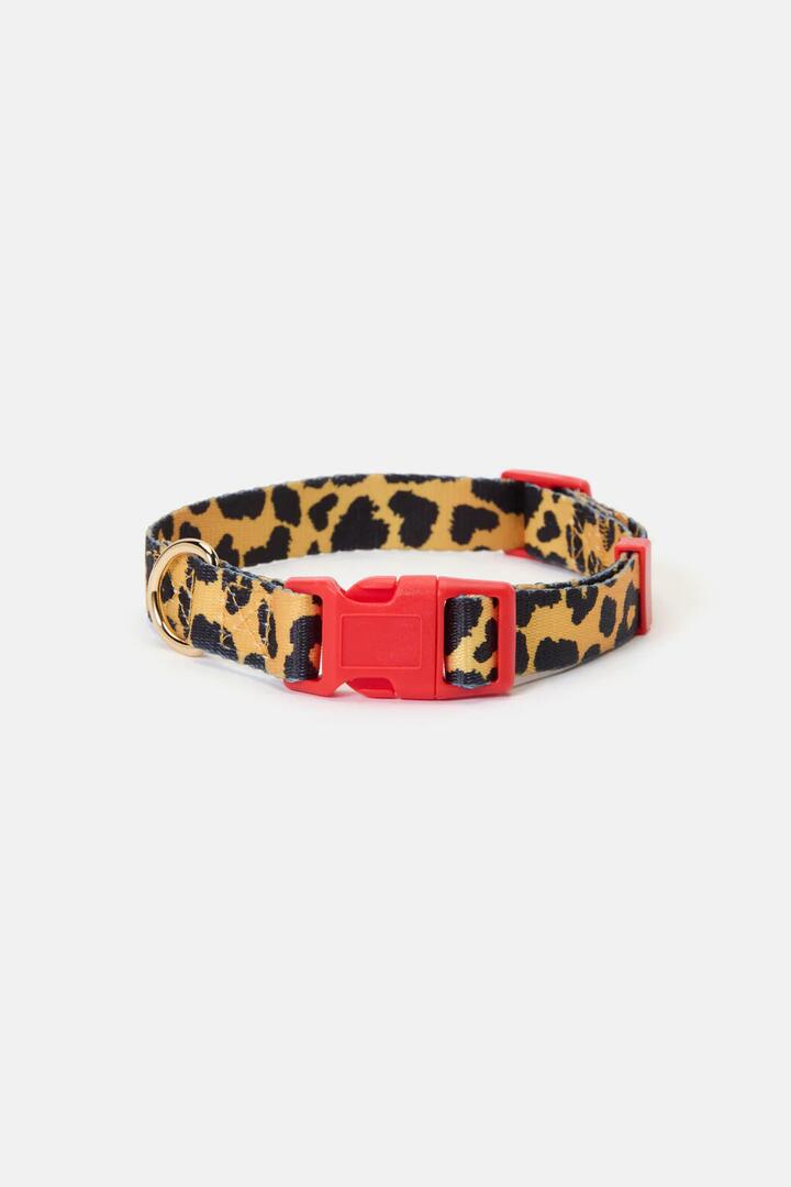 Image of Pet Supplies. Productname: Leopard Dog Collar Sml in Print colour by brand - Gorman