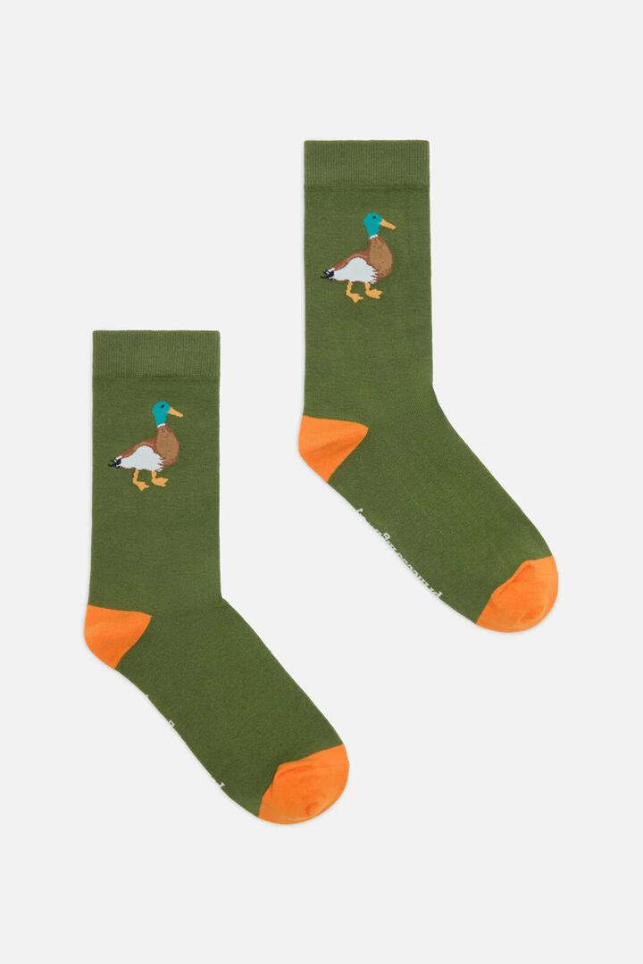Image of Socks. Productname: Duck Sock in Green colour by brand - Princess Highway