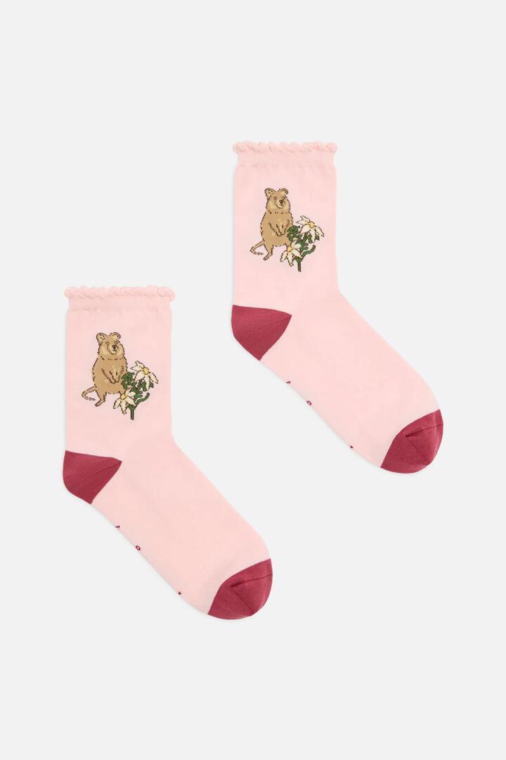 Image of Socks. Productname: Quokka Socks in Pale Pink colour by brand - Princess Highway