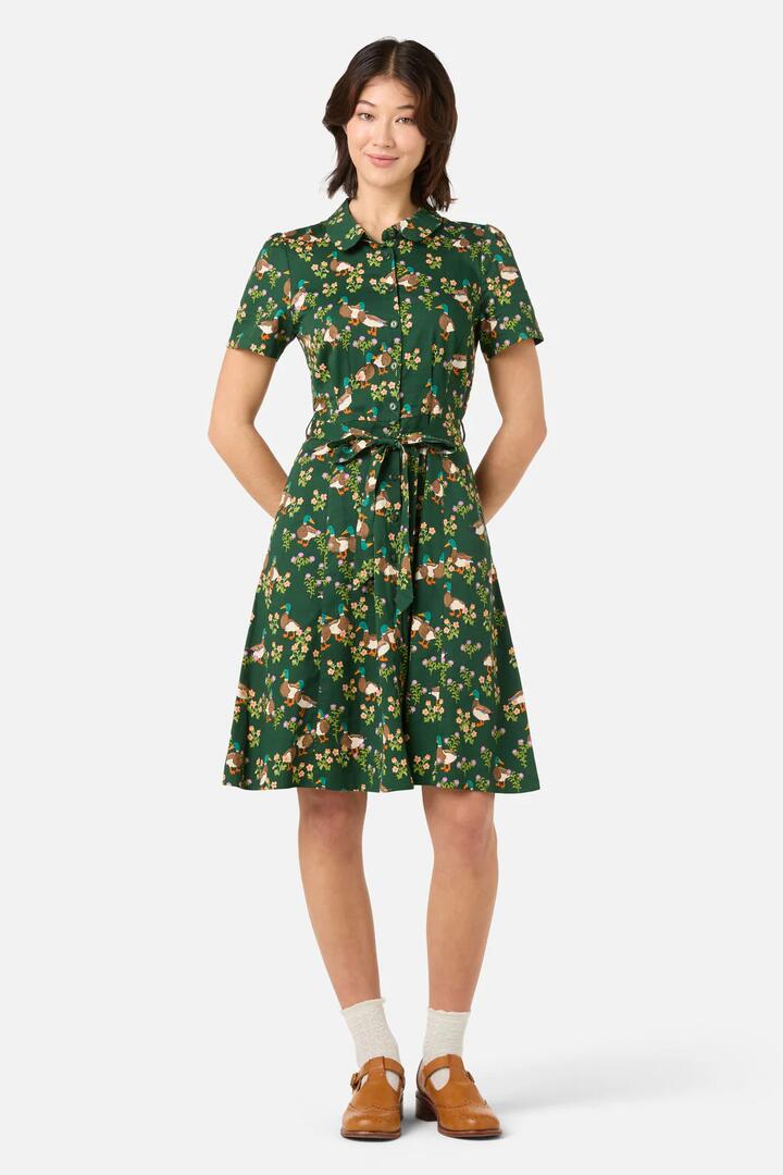 Image of Dresses. Productname: Sweet Ducks Mini Shirt Dress in Green colour by brand - Princess Highway
