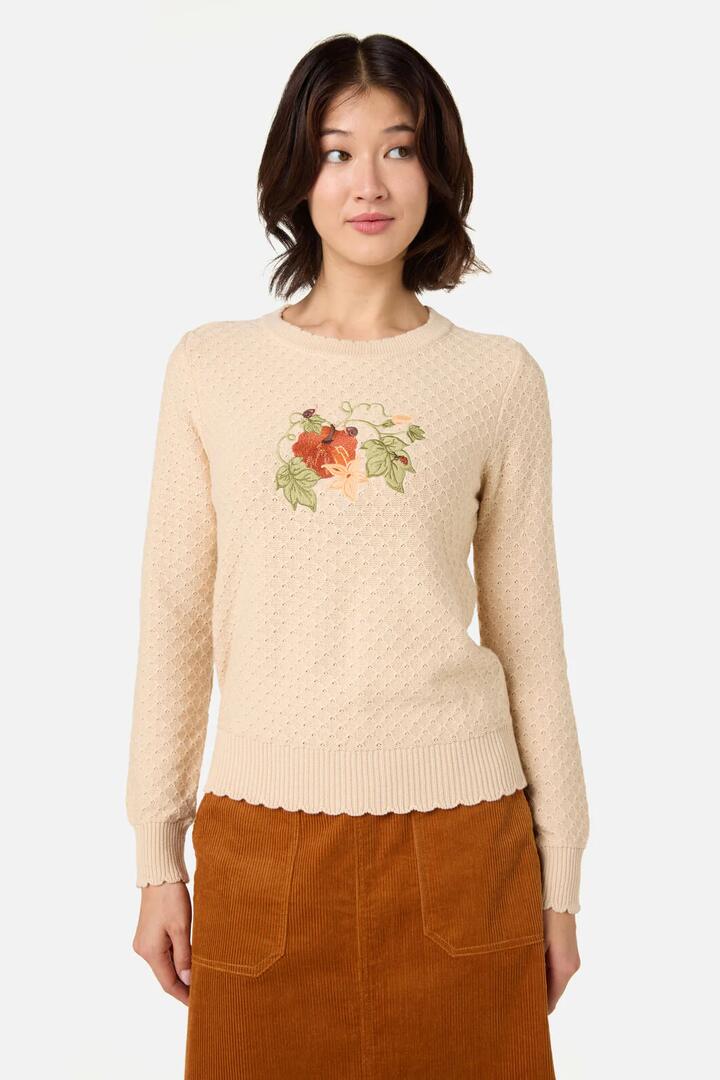 Image of a model wearing Outerwear. Productname: Pumpkin Embroidered Jumper in Cream colour by brand - Princess Highway