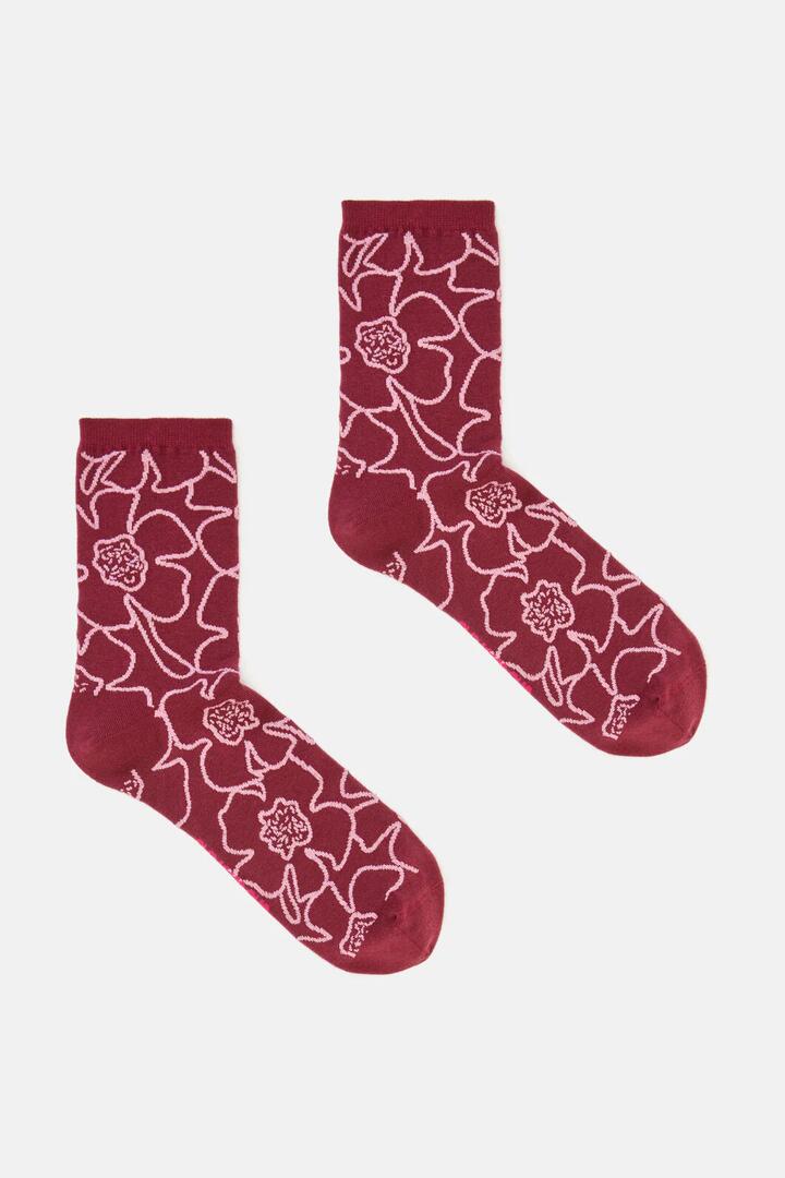 Image of Socks. Product name - Seedlings Sock Maroon in Multi colour by brand - Gorman