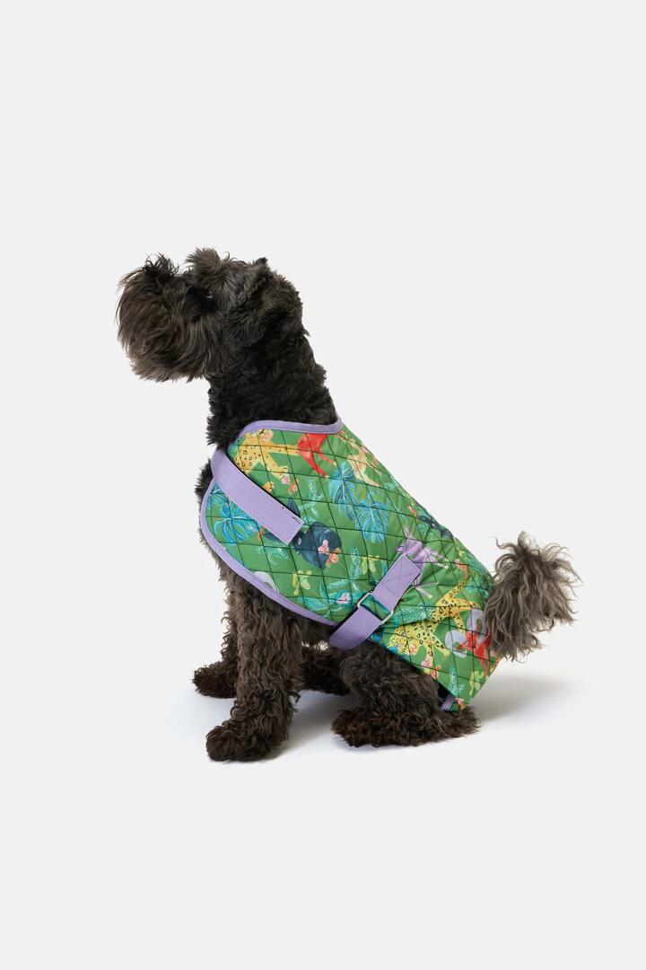Image of Pet Supplies. Product name - Orchid Safari Quilted Dog Coat in Print colour by brand - Gorman