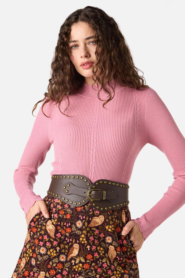 Image of Belts. Productname: Stud Waist Belt in Chocolate colour by brand - Princess Highway