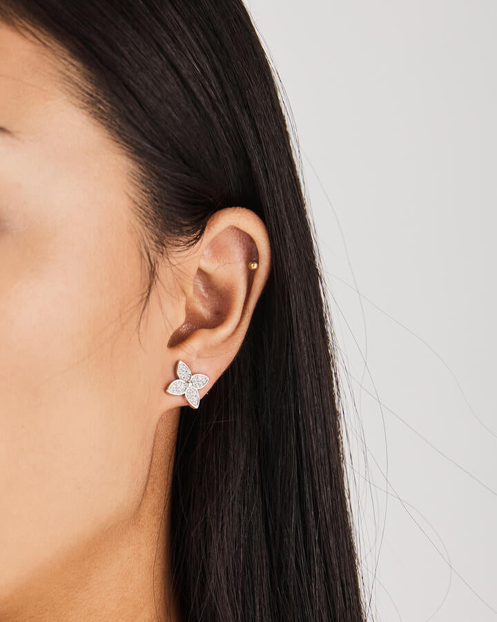 Image of Earrings. Product name - Earring Flava Multi in Multi colour by brand - Novo
