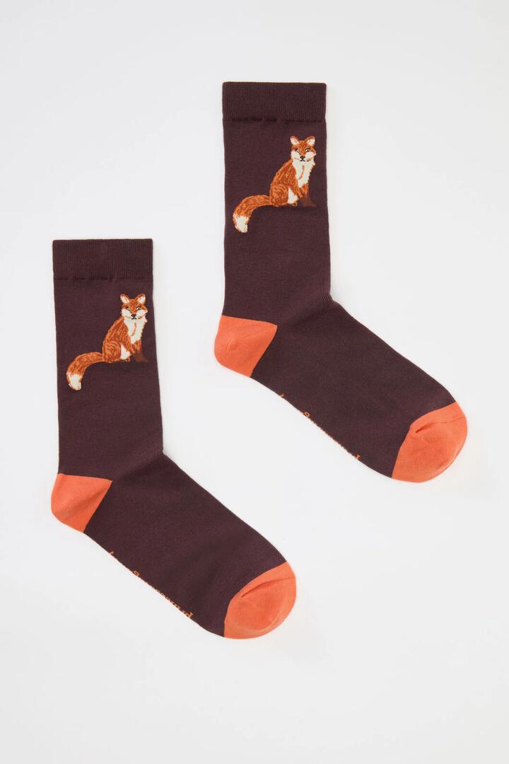 Image of Socks. Productname: Fox Sock in Chocolate colour by brand - Princess Highway