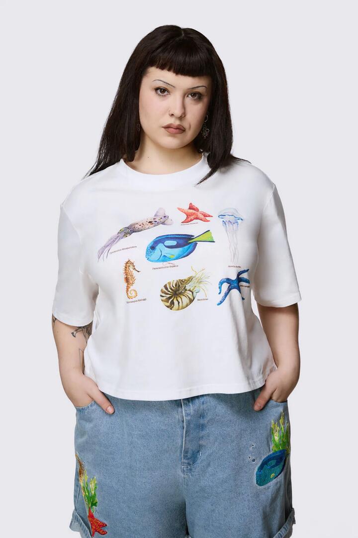 Image of T-Shirts. Productname: Curve Oceanic Tee in Cream colour by brand - Dangerfield