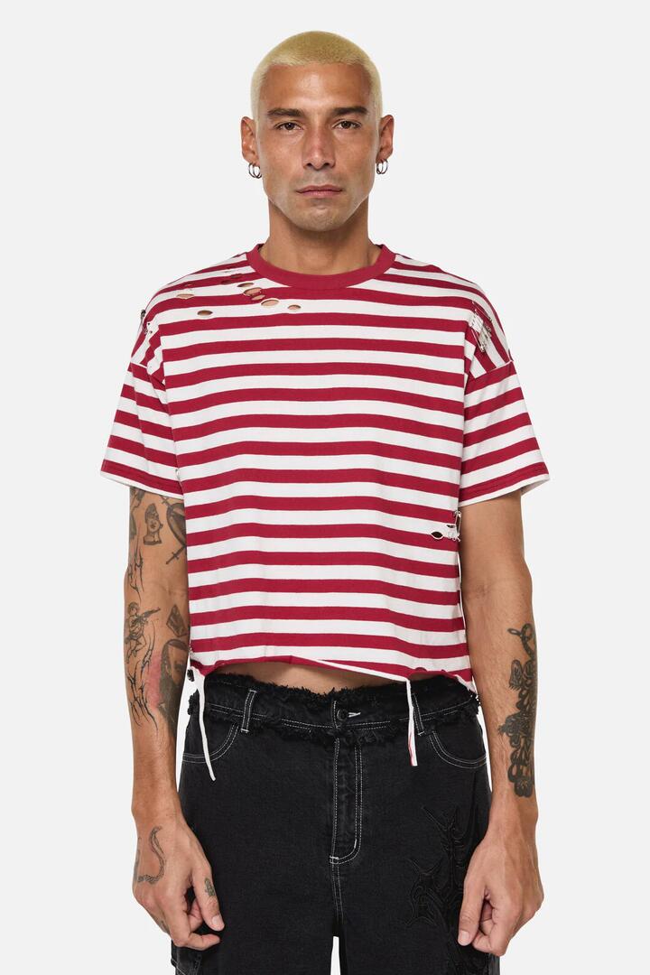 Image of T-Shirts. Productname: Mii Stripe Tee in Red/Cream colour by brand - Dangerfield