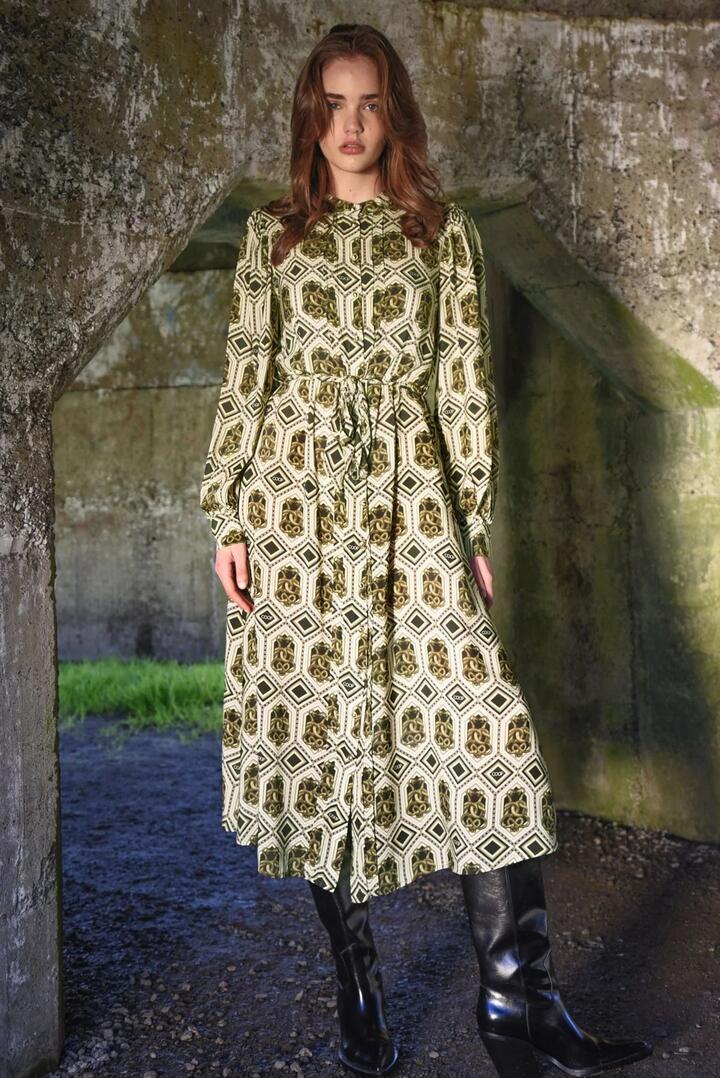 Image of Dresses. Product name - Charm Me Bronze Snake Print LS Maxi Dress in Bronze colour by brand - Coop