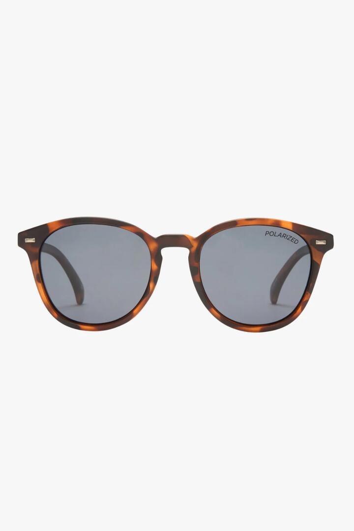Image of Sunglasses. Product name - Bandwagon Polarised Round Matte Tort Smoke Lens Sunglasses in colour by brand - Le Specs