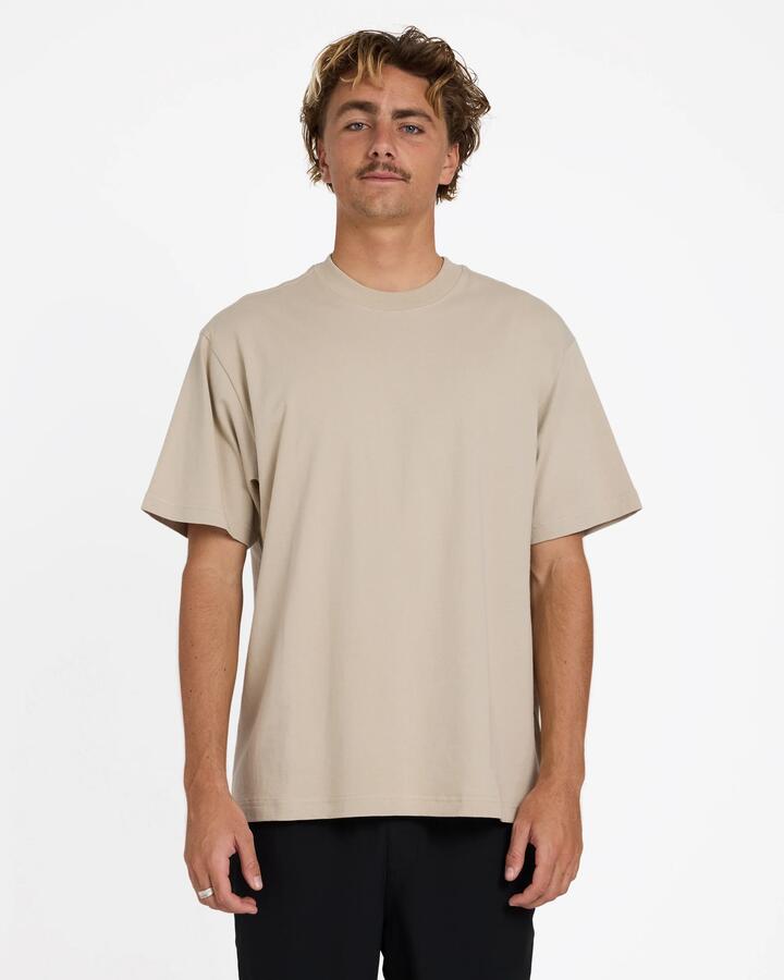 Image of T-Shirts. Product name - Billabong Mens Premium Wave Wash T-Shirt Mushroom in Mushroom colour by brand - Billabong
