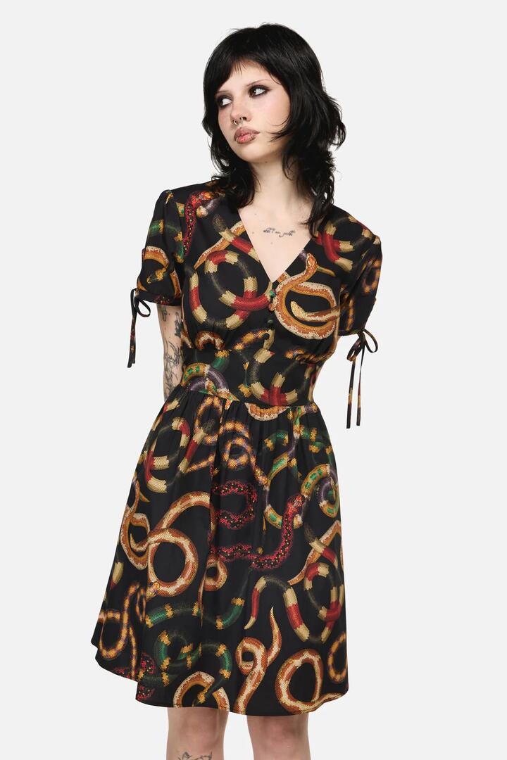 Image of Dresses. Productname: Reptilian Print Dress in Multi colour by brand - Dangerfield