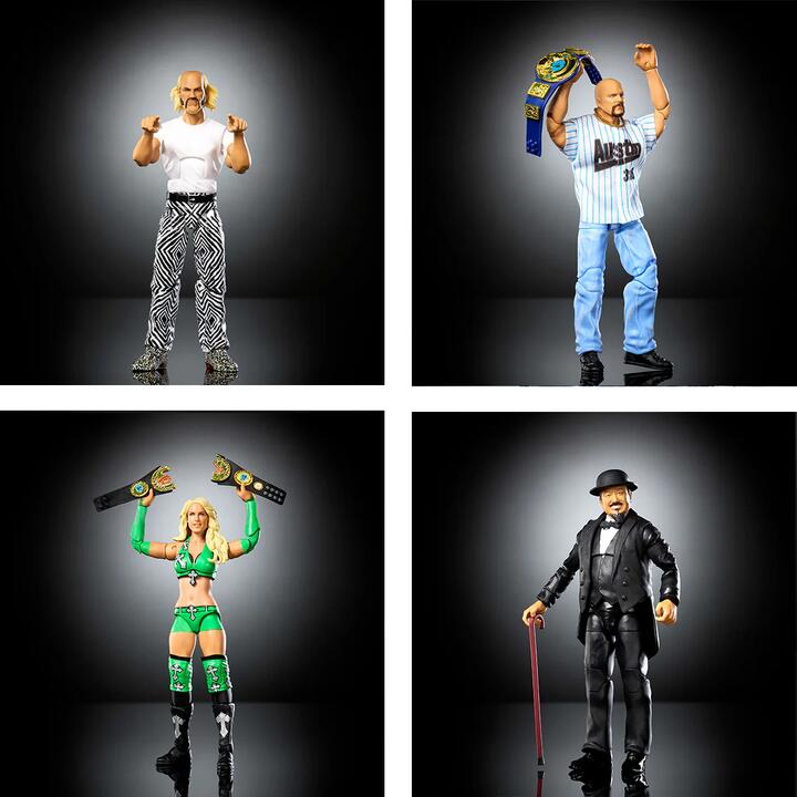 Image of Action Figures. Product name - Bundle: WWE Elite Legends 4 Action Figures, Stone Cold Steve Austin, Jesse The Body Ventura, Mr Fuji and Michelle McCool in colour by brand - WWE