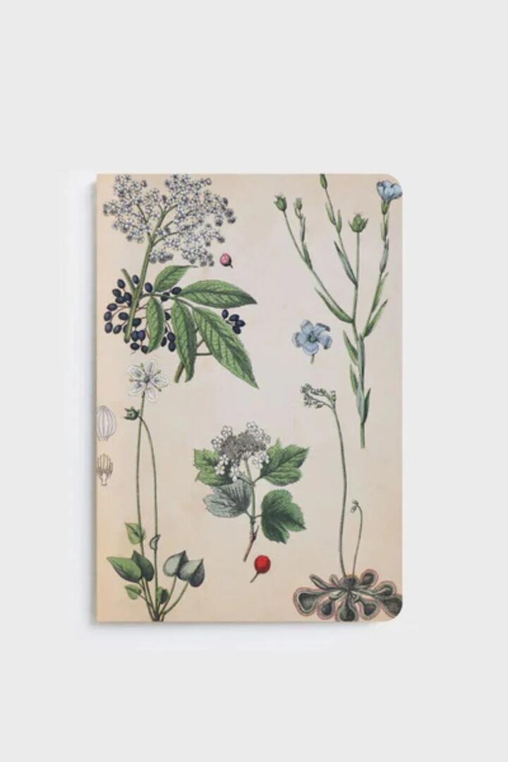 Image of Notebooks & Notepads. Product name - Field Botany Natural Notebook in colour by brand - Lettuce