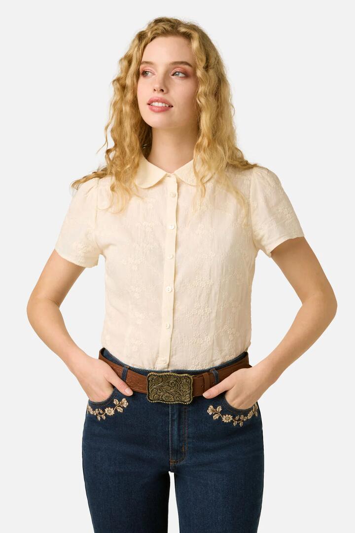 Image of Belts. Productname: Fancy Buckle Belt in Chocolate colour by brand - Princess Highway